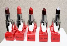 Rouge à Lèvres I
